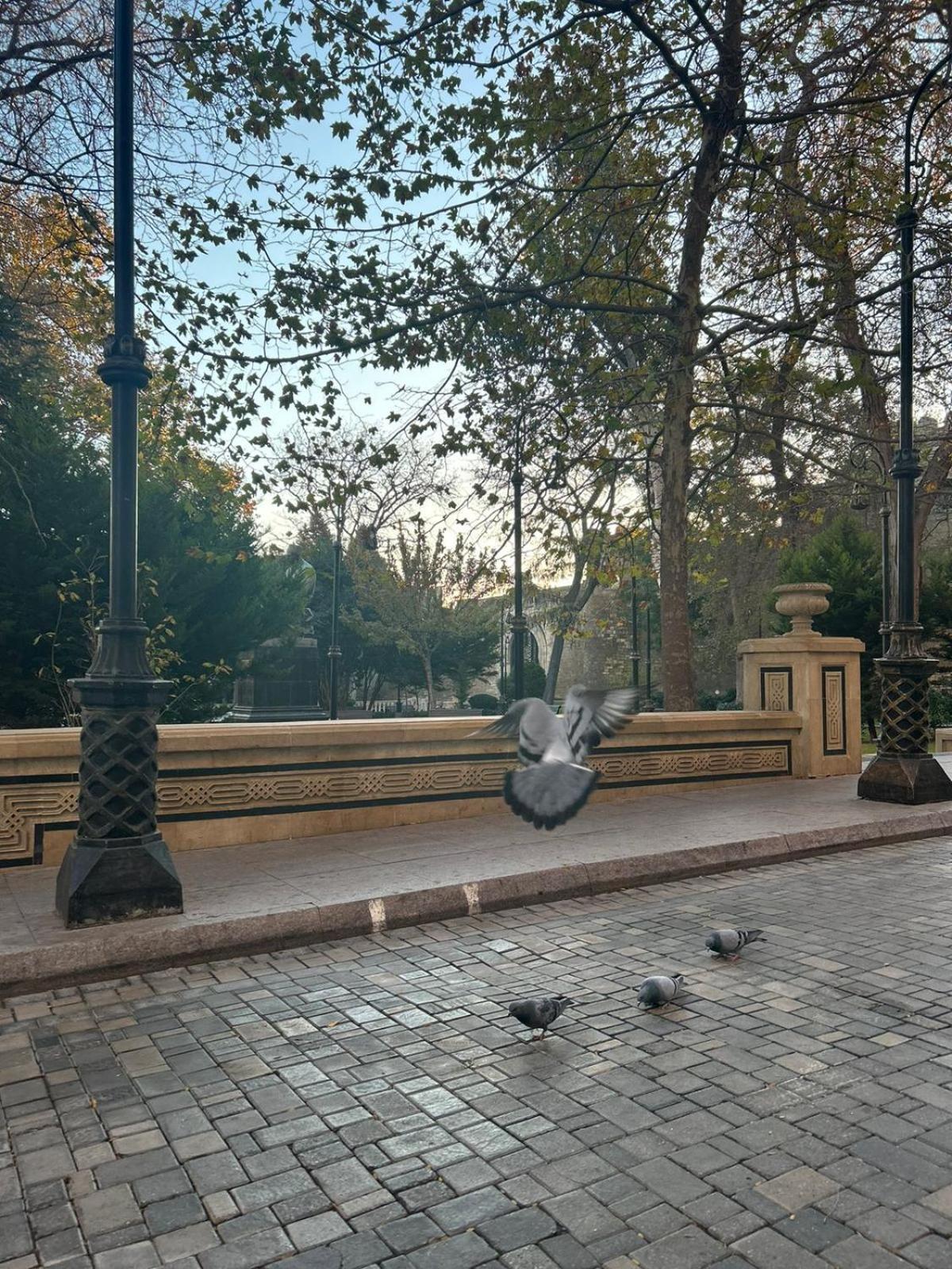 Hostel124 Bakü Dış mekan fotoğraf